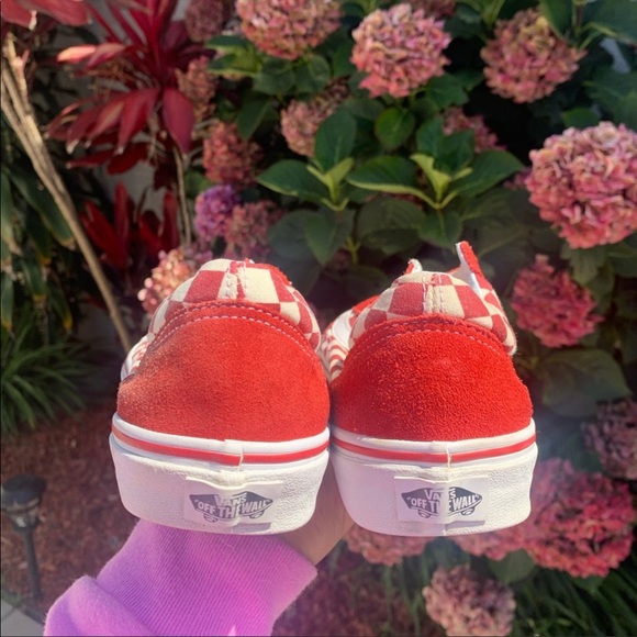 Vans - Picture 3 of 7